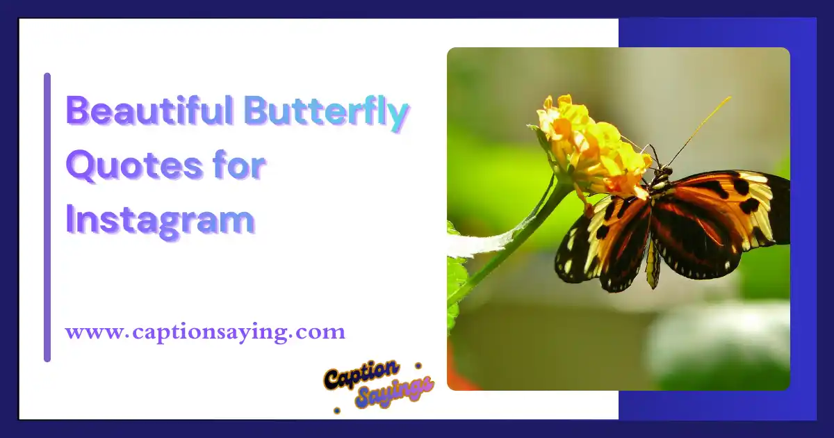 Beautiful Butterfly Quotes for Instagram