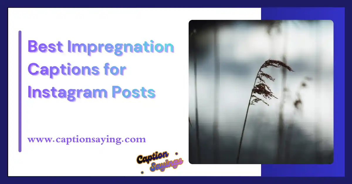 Best Impregnation Captions for Instagram Posts