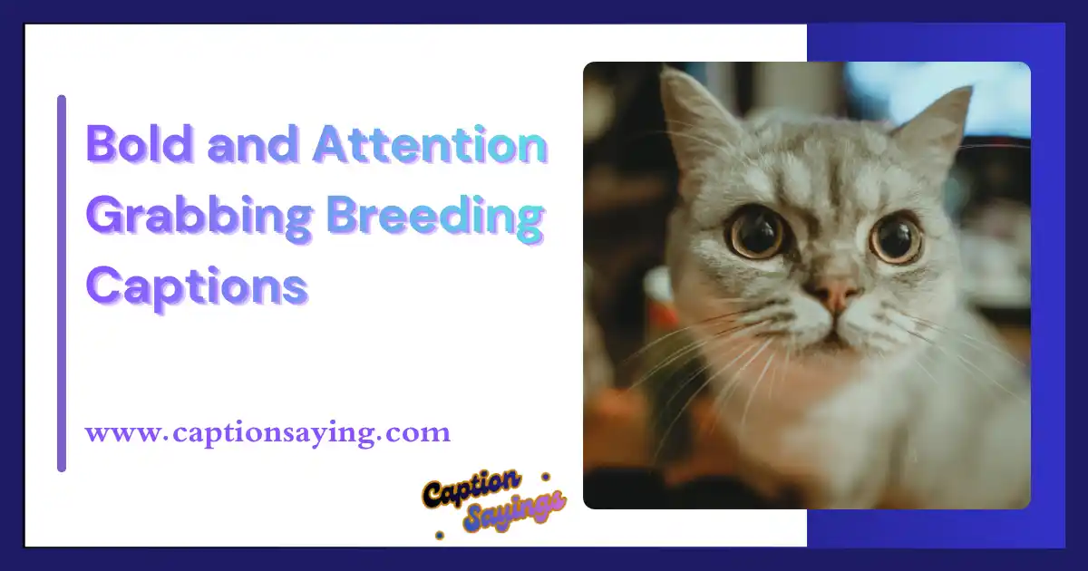 Bold and Attention-Grabbing Breeding Captions
