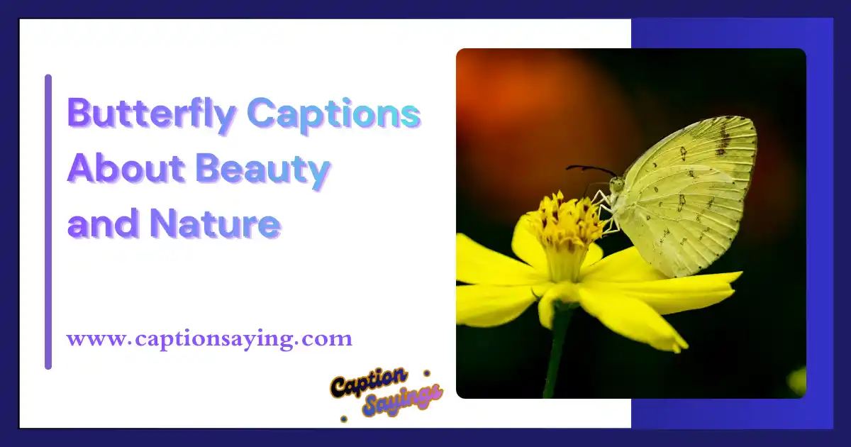 Butterfly Captions About Beauty and Nature