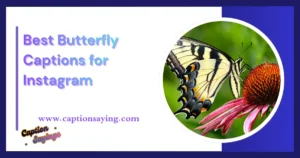 220 Best Butterfly Captions for Instagram