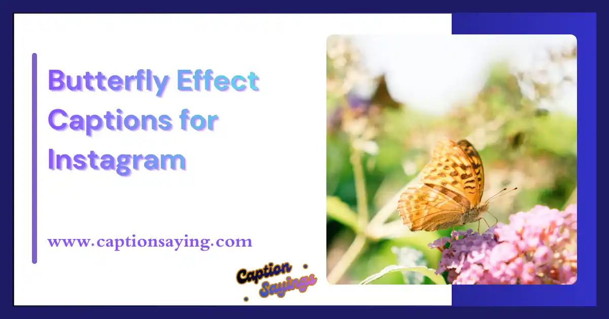 Butterfly Effect Captions for Instagram