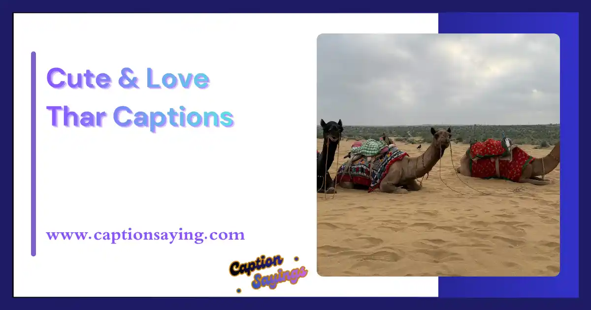 Cute & Love Thar Captions
