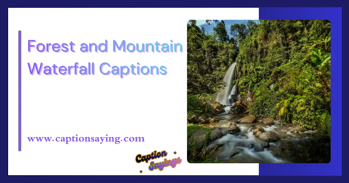 Forest and Mountain Waterfall Captions