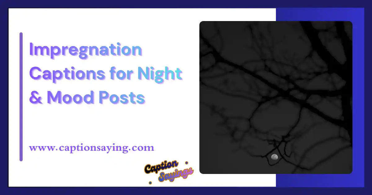 Impregnation Captions for Night & Mood Posts