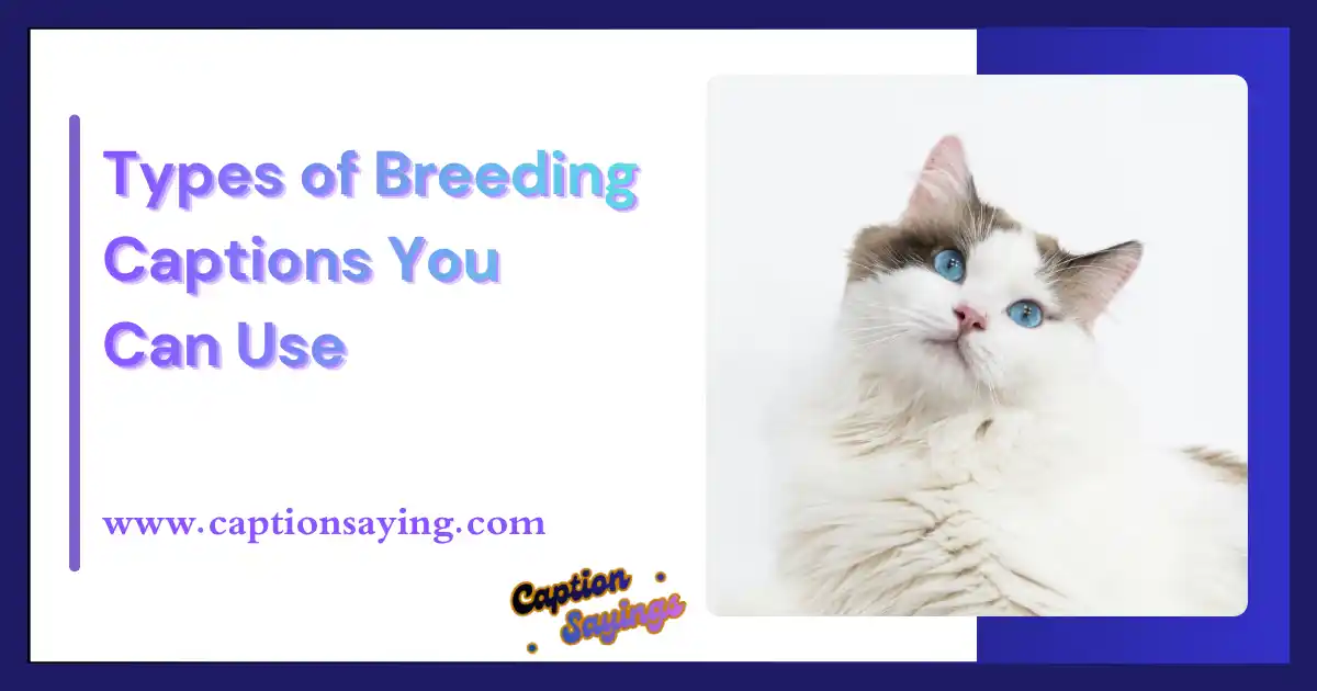 Types of Breeding Captions You Can Use