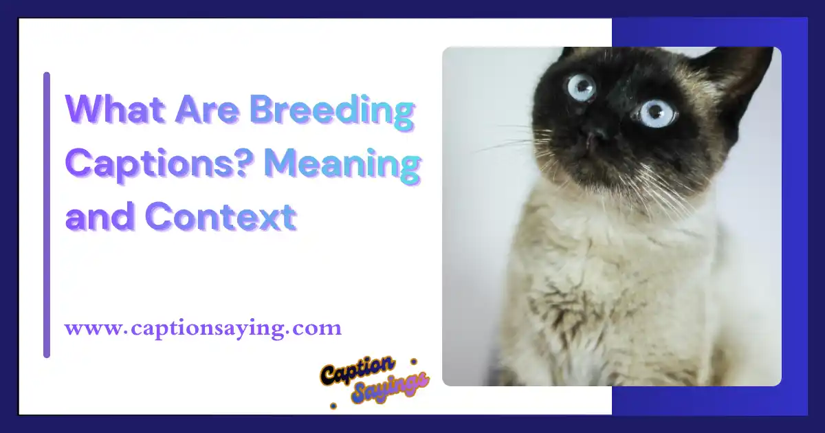 What Are Breeding Captions? Meaning and Context