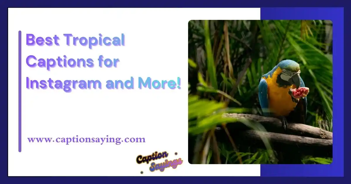 Best Tropical Captions for Instagram and More!