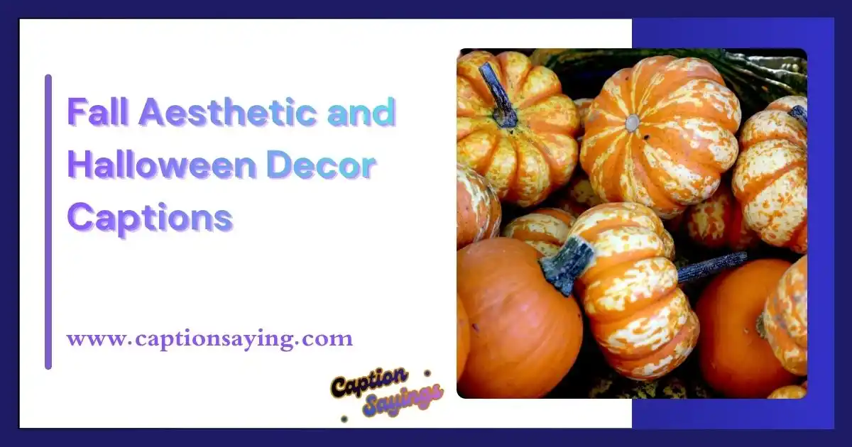 Fall Aesthetic and Halloween Decor Captions