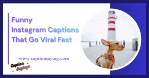 300 Funny Instagram Captions That Go Viral Fast