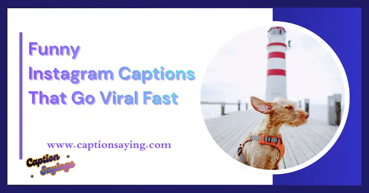 300 Funny Instagram Captions That Go Viral Fast