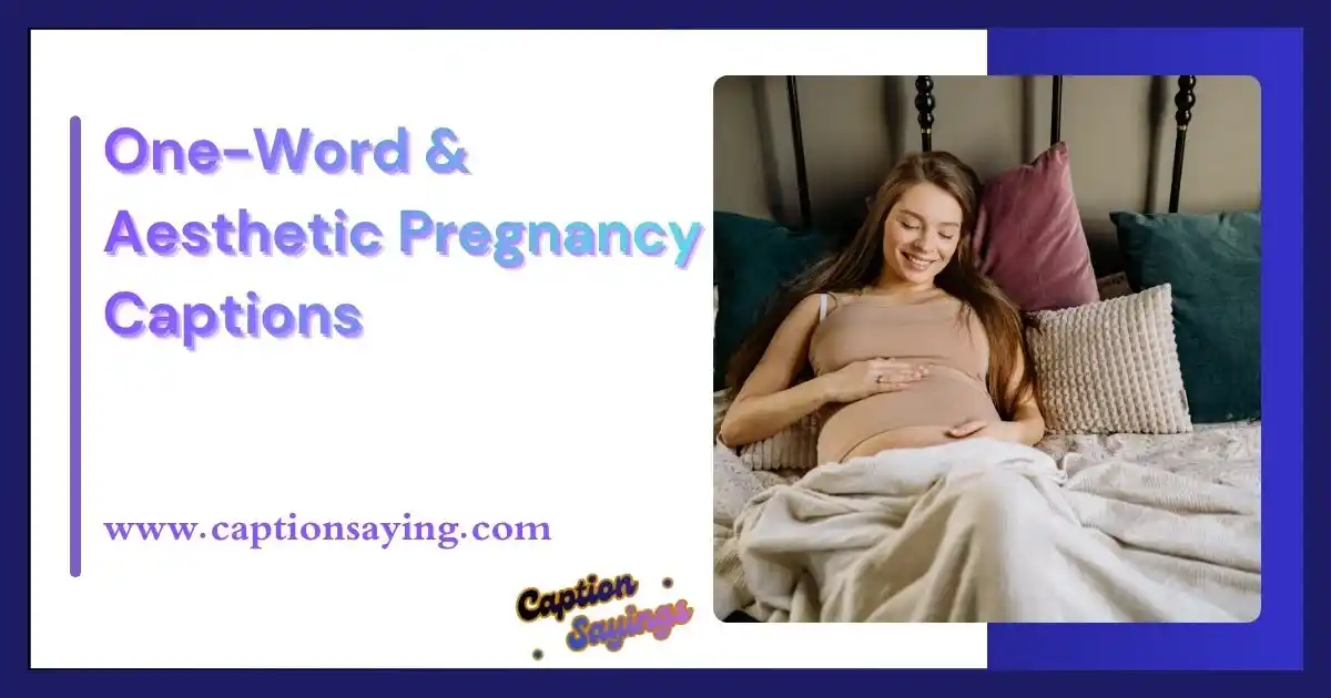 One-Word & Aesthetic Pregnancy Captions