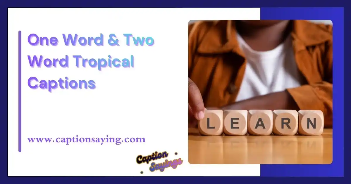 One Word & Two Word Tropical Captions