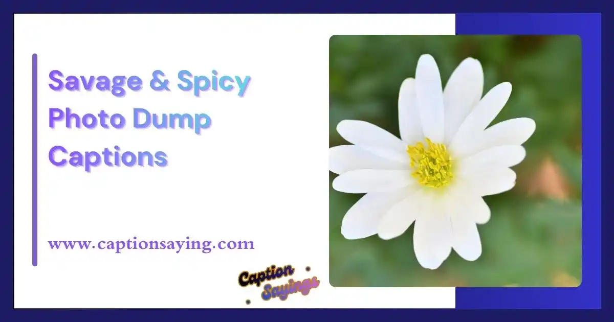 Savage & Spicy Photo Dump Captions