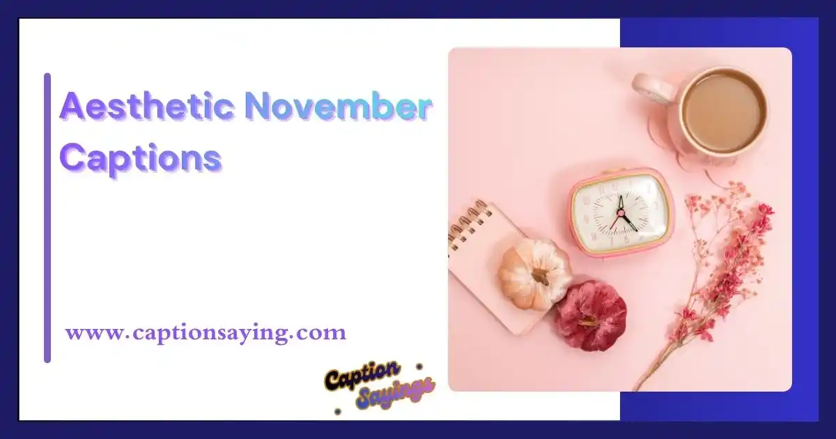 Aesthetic November Captions
