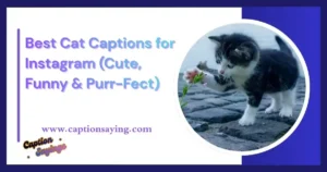 Cat Captions