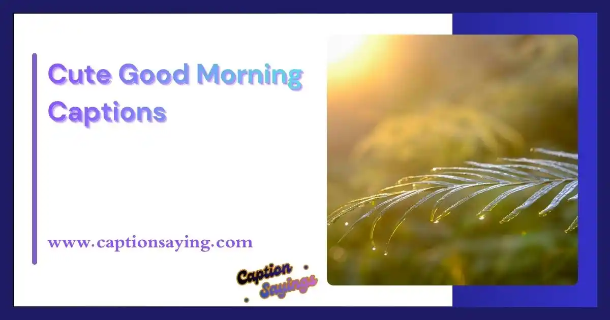 Cute Good Morning Captions