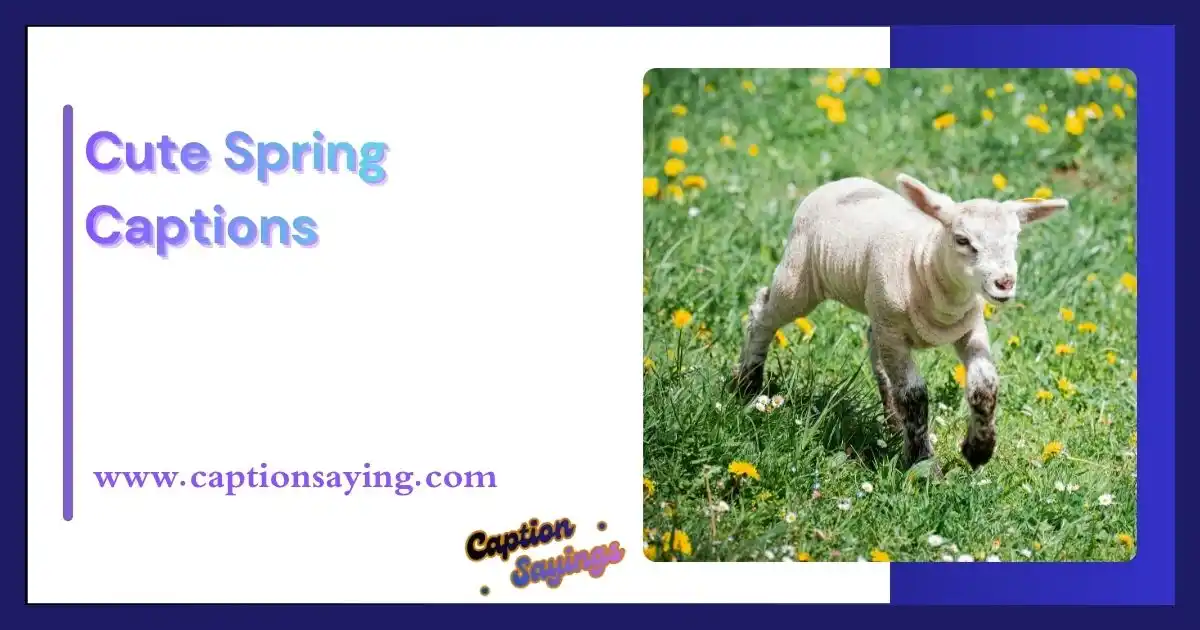 Cute Spring Captions