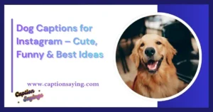 Dog Captions for Instagram – Cute, Funny & Best Ideas