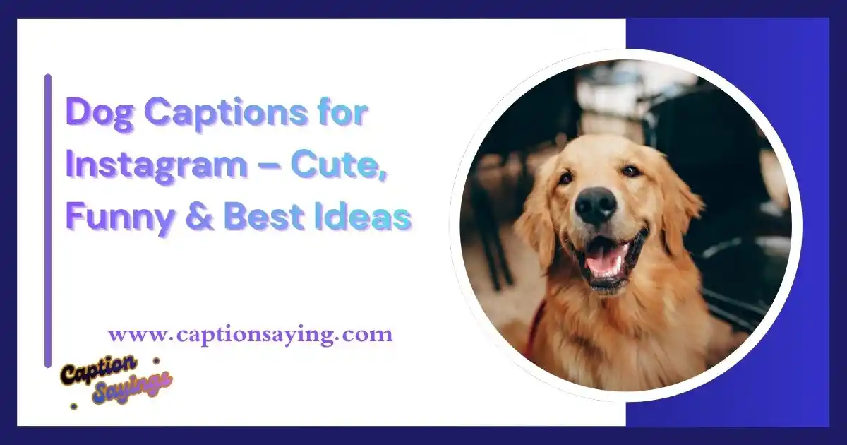 Dog Captions for Instagram – Cute, Funny & Best Ideas