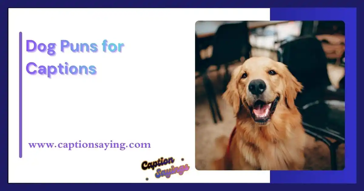 Dog Puns for Captions