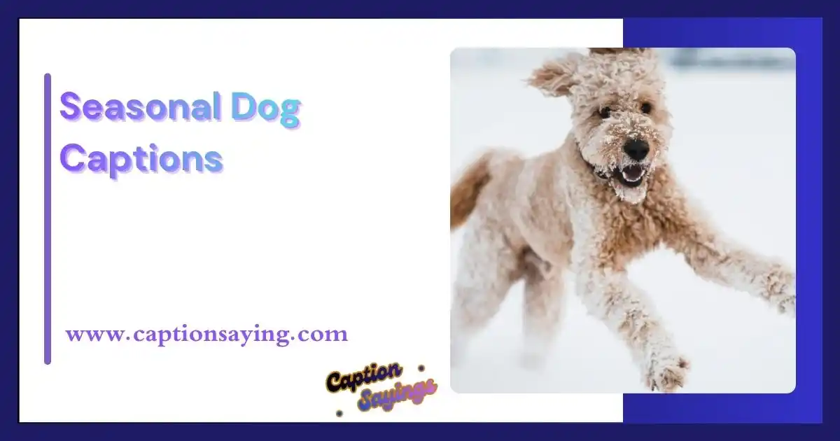 Seasonal Dog Captions