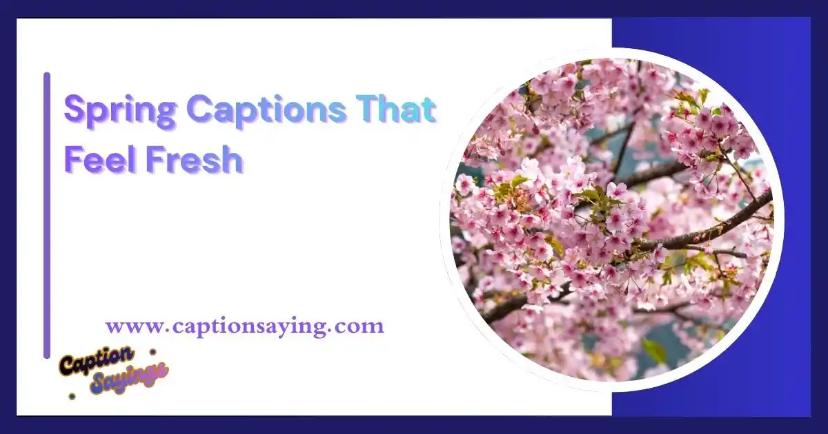 Spring Captions That Feel Fresh