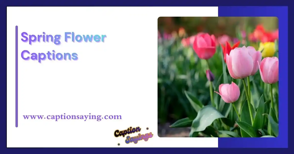 Spring Flower Captions