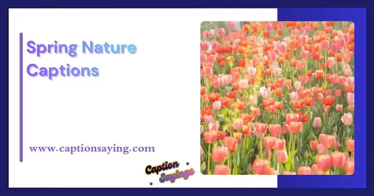 Spring Nature Captions