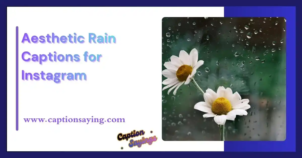 Aesthetic Rain Captions for Instagram