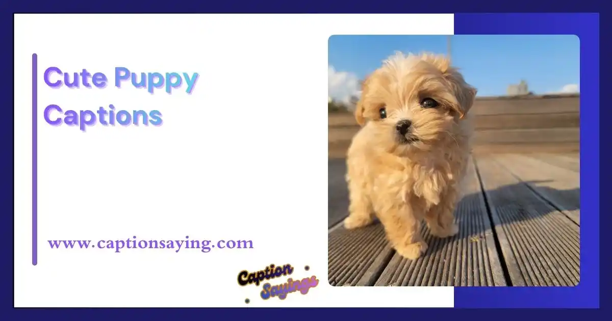 Cute Puppy Captions