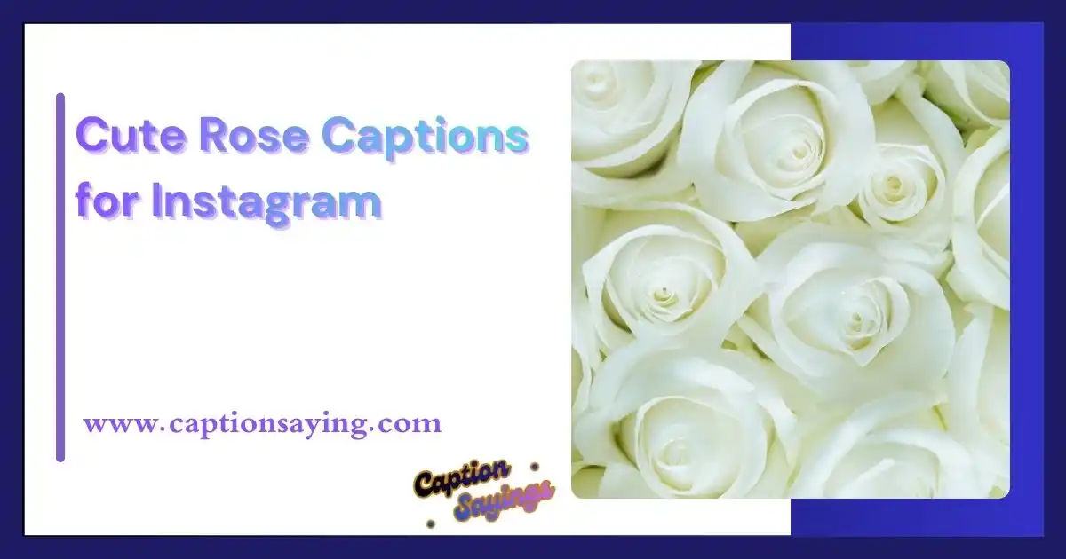Cute Rose Captions for Instagram