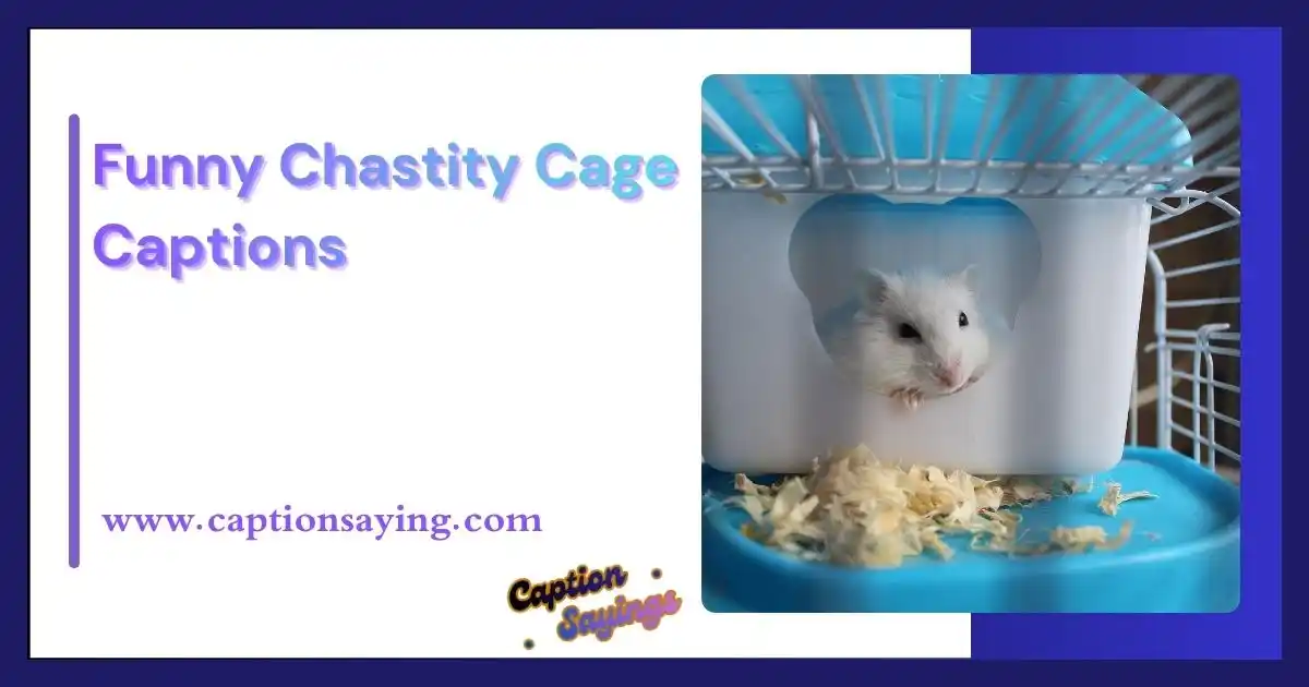 Funny Chastity Cage Captions