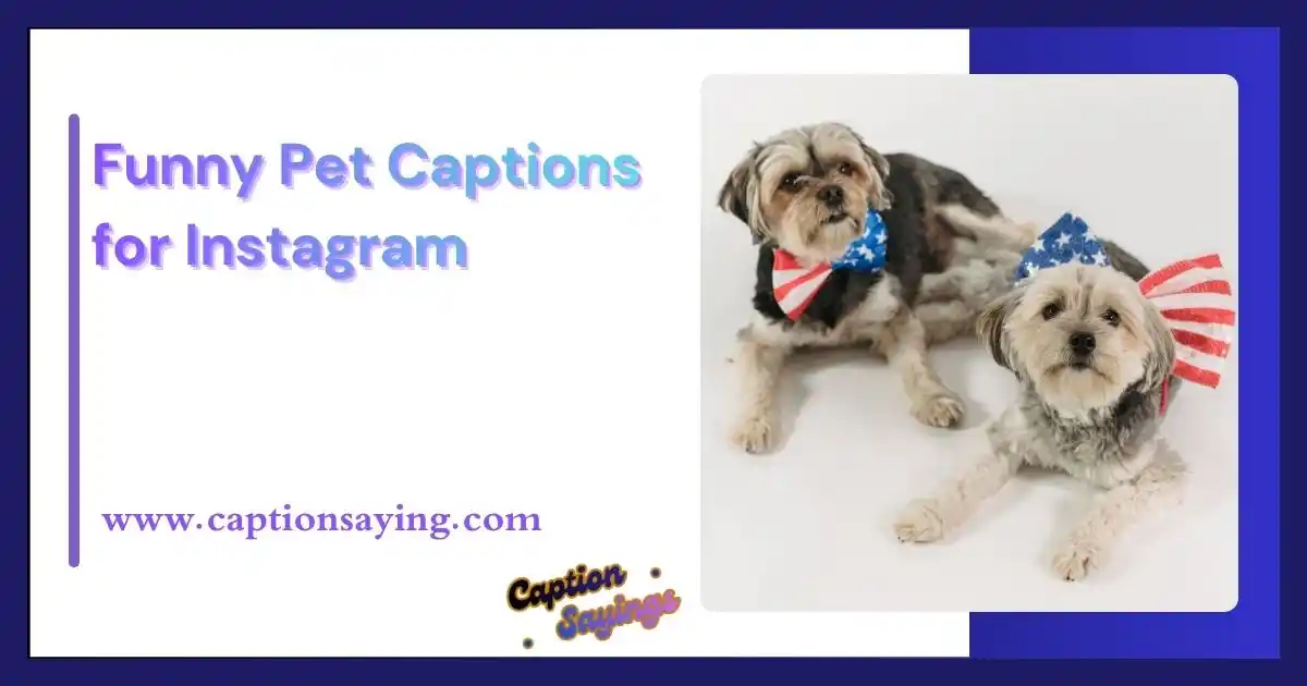 Funny Pet Captions for Instagram