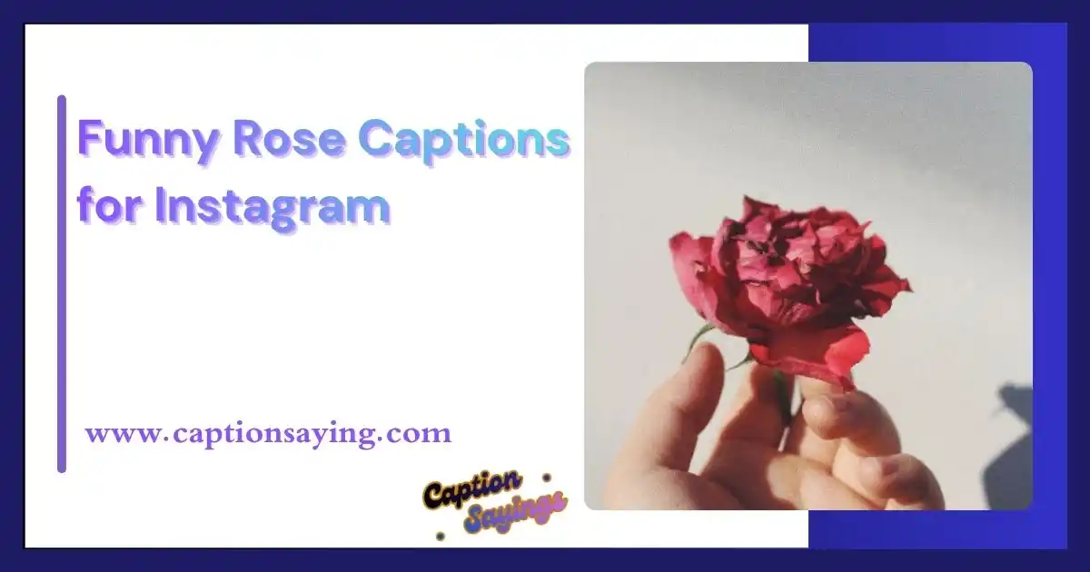Funny Rose Captions for Instagram