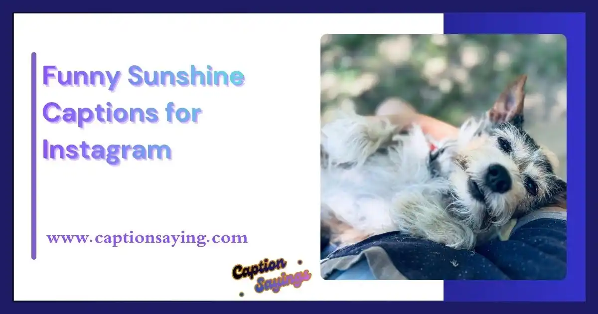 Funny Sunshine Captions for Instagram