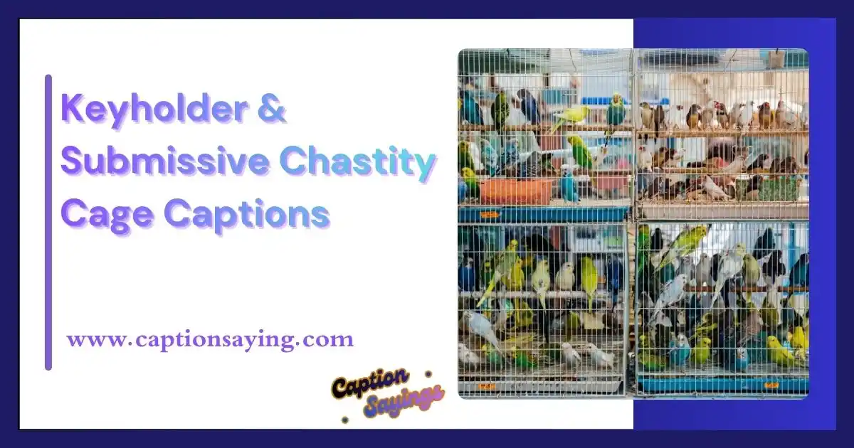 Keyholder & Submissive Chastity Cage Captions