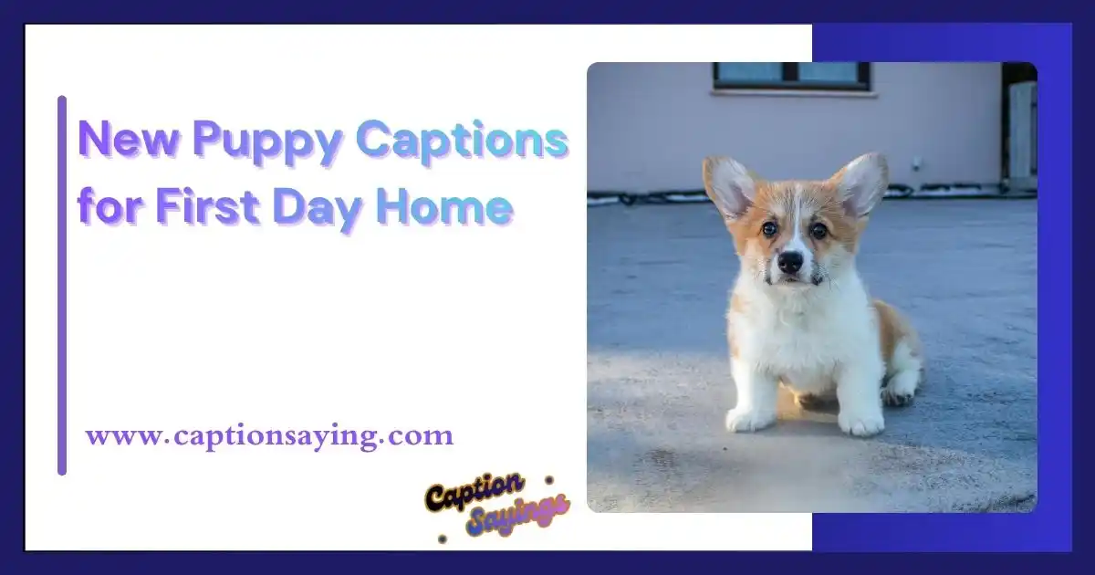 New Puppy Captions for First Day Home
