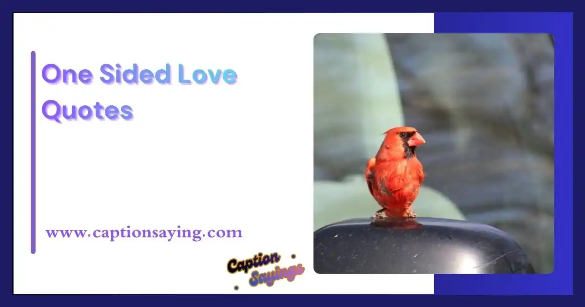 One Sided Love Quotes