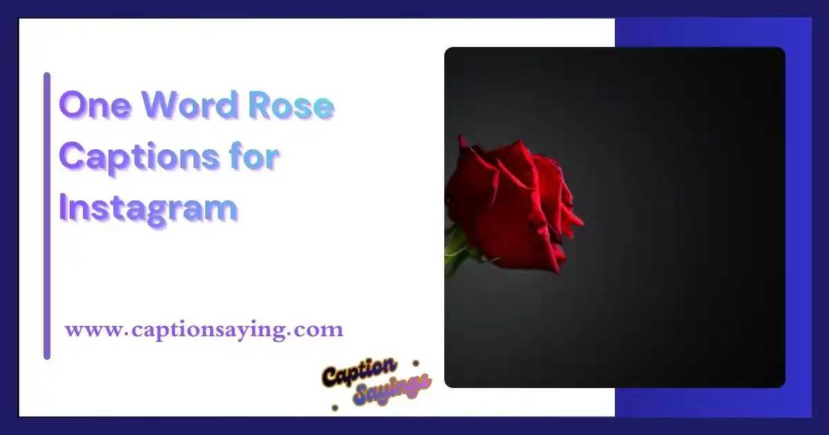 One Word Rose Captions for Instagram