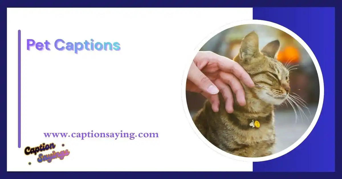 Pet Captions