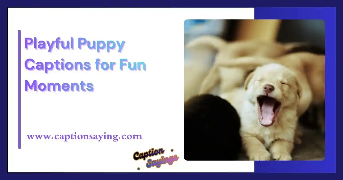 Playful Puppy Captions for Fun Moments