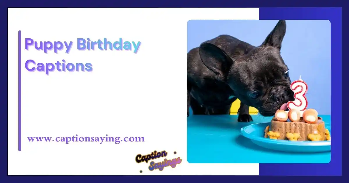 Puppy Birthday Captions