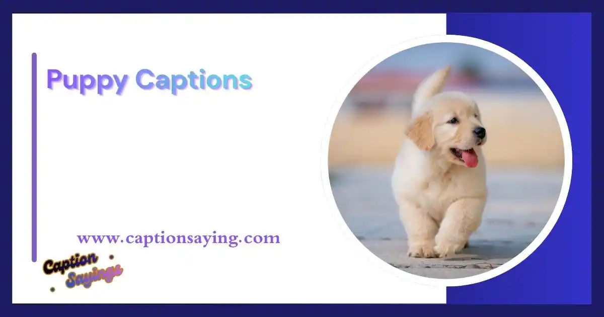 Puppy Captions
