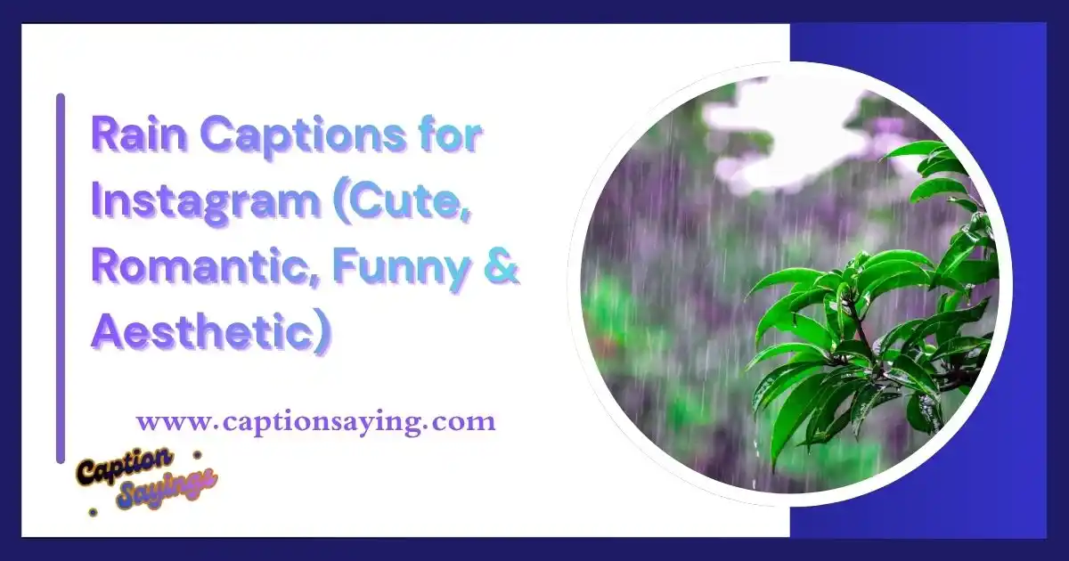 350+ Rain Captions for Instagram (Cute, Romantic, Funny & Aesthetic)