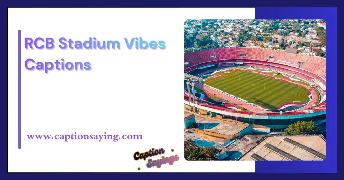 RCB Stadium Vibes Captions