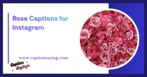 Rose Captions for Instagram