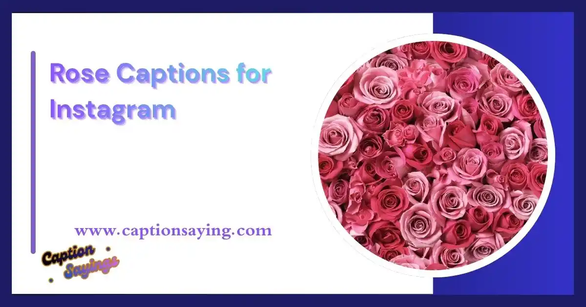 Rose Captions for Instagram
