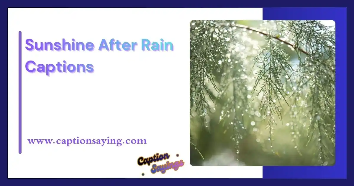 Sunshine After Rain Captions