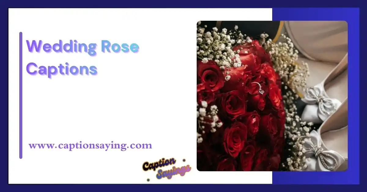 Wedding Rose Captions
